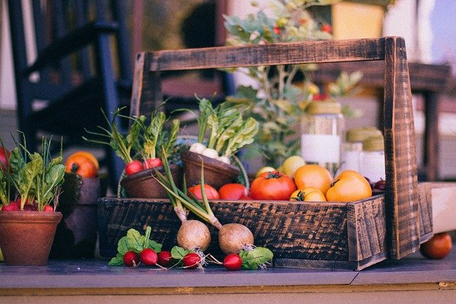 Best Foods that Boost Longevity: Science-Backed Nutrition for Healthy Aging